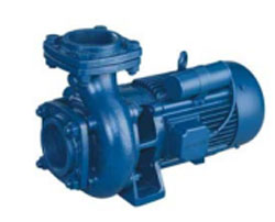 Sewage Pump